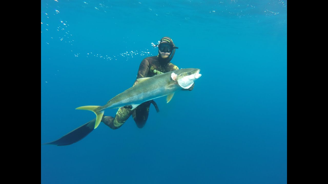 Spearfishing off the North Island of New Zealand Part One