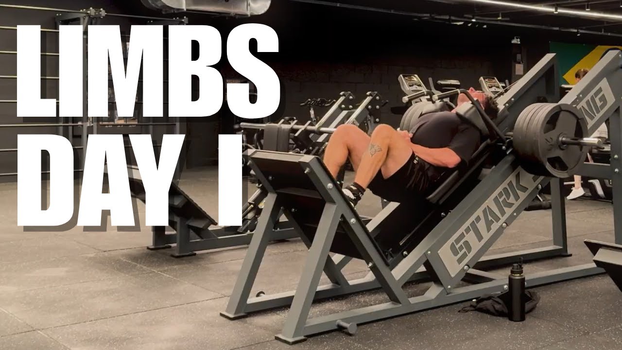 TORSO LIMBS VIROU MINHA DIVISÃO DE TREINO FAVORITA (OS GANHOS SÃO BRUTAIS)