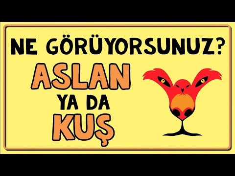 Resimlerde Gördüğün İlk Şey Karakterini Ortaya Koyuyor