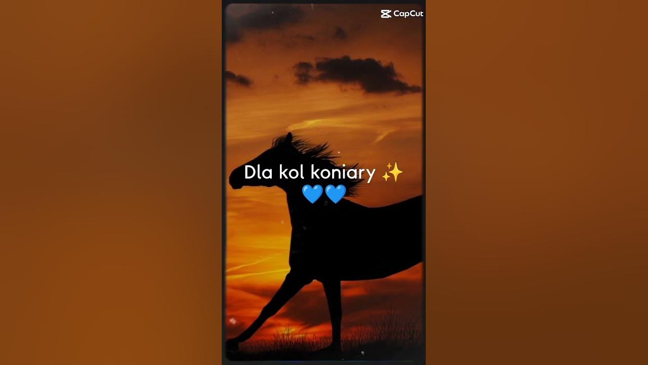 koniary - YouTube
