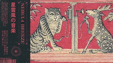 𝐃𝐢𝐚𝐥𝐢𝐧𝐠 𝐭𝐡𝐞 𝐖𝐢𝐥𝐝 ~ jazz funk / soul vibes