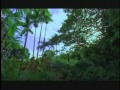 Sdds jungle trailer sony dynamic digital sound