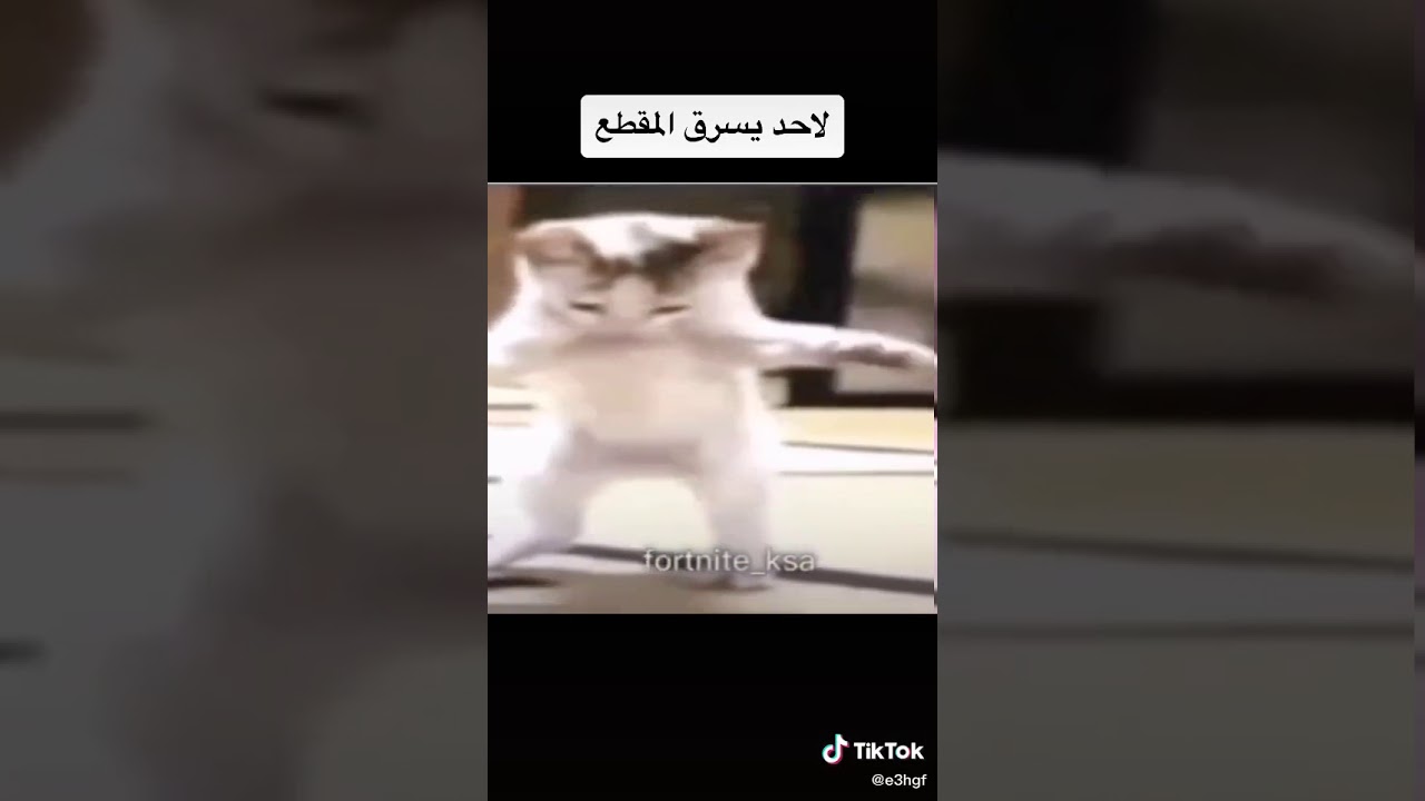 ١٥ ٦، ٢٠٢٠ - YouTube
