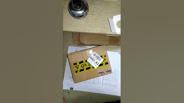 đập hộp rùa common snapping baby