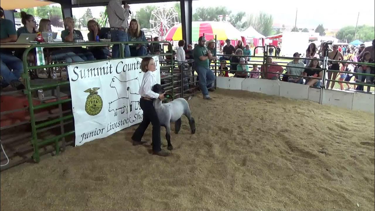 Summit County, Utah Fair Livestock Auction (Hogs, Steers, then Sheep