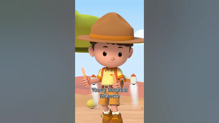 Animal Hotels Built by Birds?! 🏨 | Leo the Wildlife Ranger | #shorts #education #kids