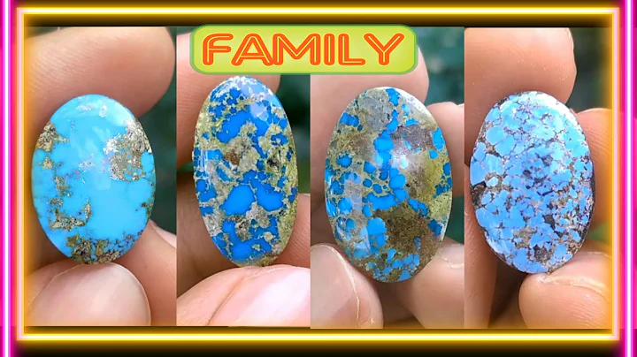A gemstone family.#turquoise#gemstone#pirus turquoise,pirus