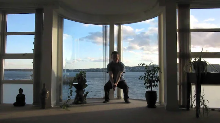 Taiji Qigong Extract 1 - Ronnie Robinson