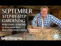 September | Step-by-Step Gardening at Blue Diamond's Bridgemere Show Gardens | Ep 20
