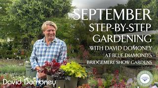 September | Step-by-Step Gardening at Blue Diamond's Bridgemere Show Gardens | Ep 20