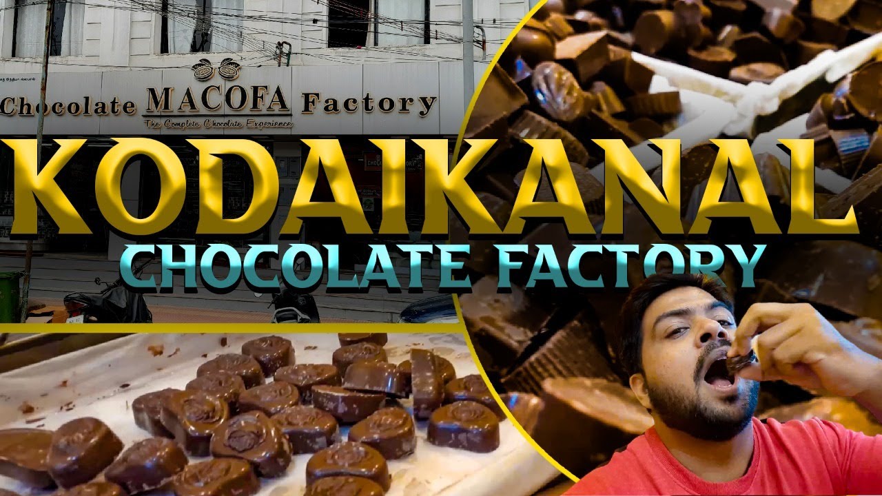 Kodaikanal Chocolate Factory KODAIKANAL VLOGS ChocolateFactory kodaikanal-chocolate-factory-kodaikanal-vlogs-chocolatefactory