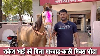 येवला घोडा मंडी 2024 | Yeola Horse Market | Cheapest Horse Market | Horses For Sale