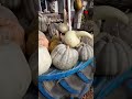 THE BIGGEST PUMPKINS / САМЫЕ БОЛЬШИЕ ТЫКВЫ