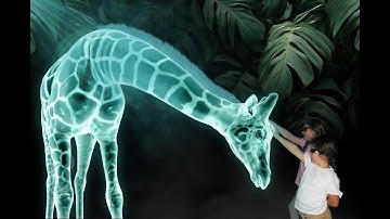 What is Hologram Zoo?