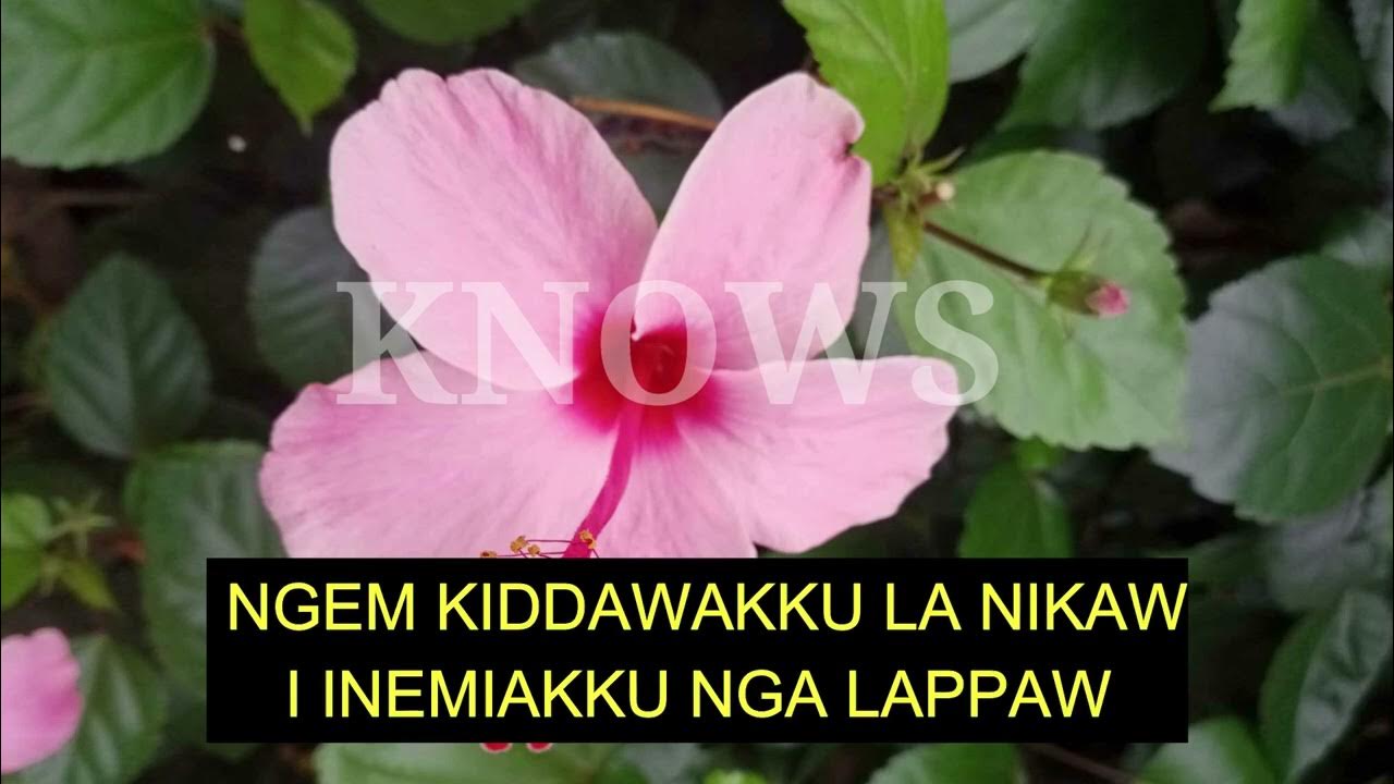 Ta Laguerta - Ibanag Folk Song (Karaoke Ibanag) Ta Laguerta - Ibanag Folk Song (Karaoke Ibanag)