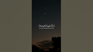 تلاوة هادئة تريح الأعصاب 😴🎧 القارئ: اسلام صبحى سورة: فصلت 💙❤