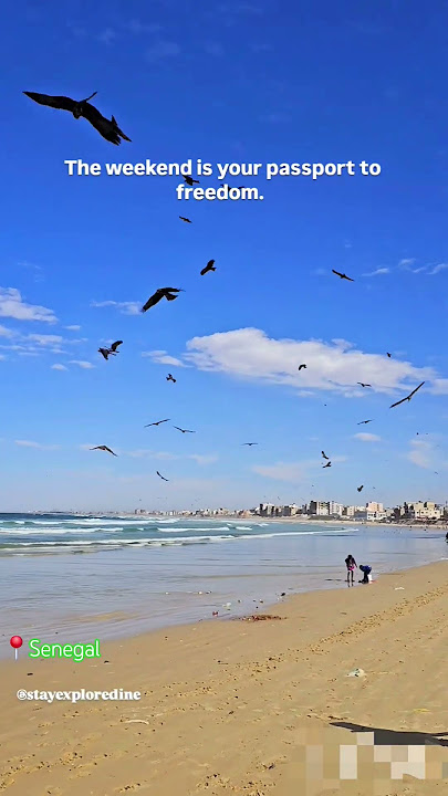 Senegal 4k video #senegal #sénégal #beach #beachvibes #beachlife #shortvideo #shortsfeed #shorts #4k