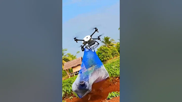 Farm Drone Intercepts Wild Boar in the Field!