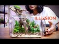 Magical Terrarium Illusion 🌿 (Terrascape Inside and Outside)