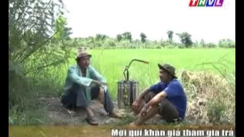 kỹ thuật sử dụng thuốc trừ rầy nâu.mp4