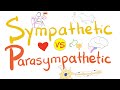 Sympathetic vs parasympathetic nervous system  physiology