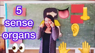 Five Sense Organs Demo Teaching