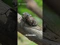 妻子掉進5米深井🆘 老公急壞直接跳下去！結果變「兩人一起受困」🤯  #夫妻 #豬隊友 #神隊友 #感情話題 #真愛 #救援 #挺身而出 #傻眼