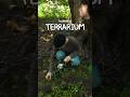 Building a Terrarium @GoogleChrome