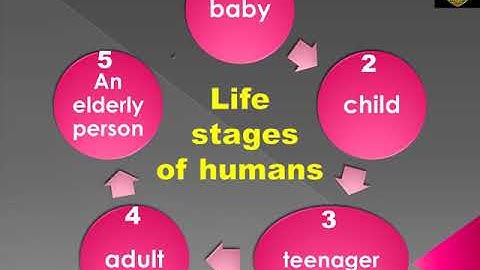 1st Prim. Connect plus unit 1 (part 2)   2020