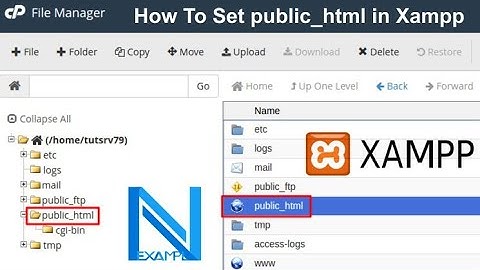 How To Set public_html in Xampp | Nexample