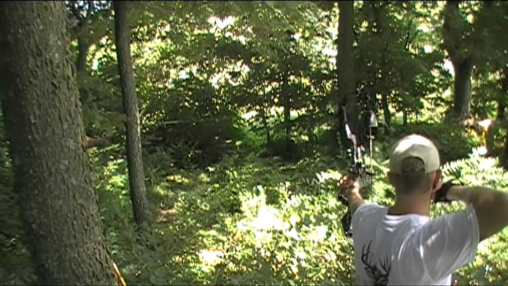 Dynamic Deer Pulley System YouTube
