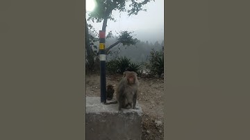 😱ya ky hoya gosa a geya