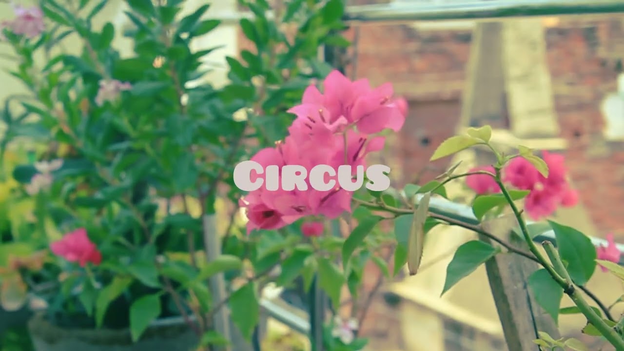 6 Best filters in INSHOT video editor.