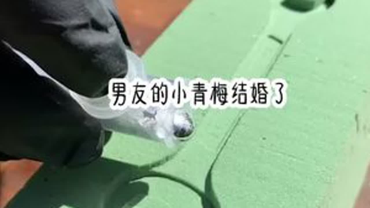 《婚 典 换 郎》#小说推荐 #好看又过瘾的小说推荐 #小说推文每日更新