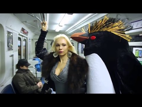 Смешные истории из жизни