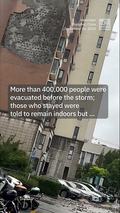 People Cling To Trees As Typhoon Slams Into Shanghai