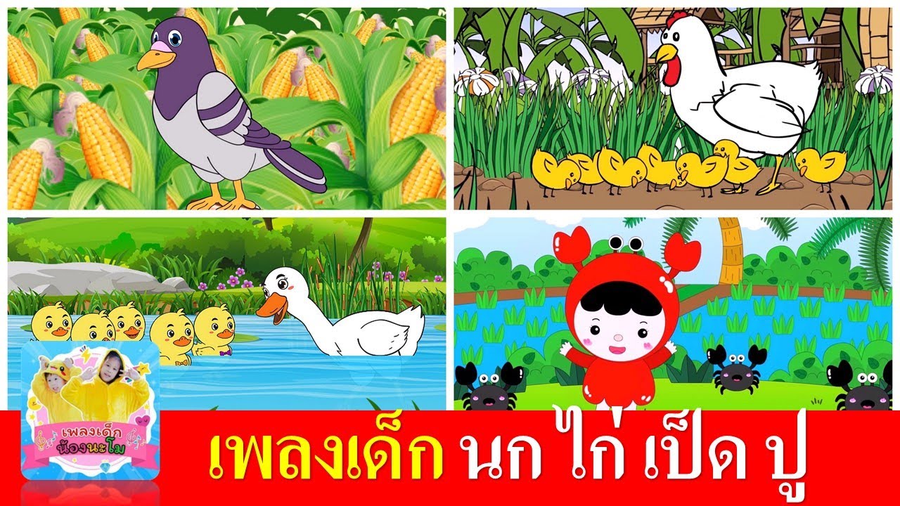 เพลงเด็ก นก ไก่ เป็ด ปู