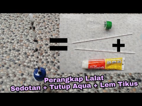 jebakan #lemlalat #jebakanuntuklalat #obatlalat #tutorialmembuatlemlalat #lemlalatsuperampuh #obatla. 