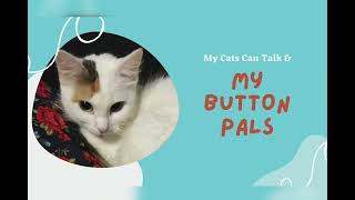 Blind cat's first independent button press! by My Button Pals 140 views 11 months ago 56 seconds