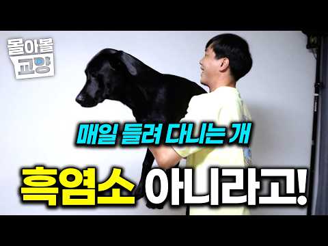 "아직도 자기가 작은 몸집인 줄 아는가 봐 ㅋㅋㅋ" 덩치만 큰 강아지 알고 봤더니... , 보호자 눈물나게 만든 흑염소 #몰아볼교양