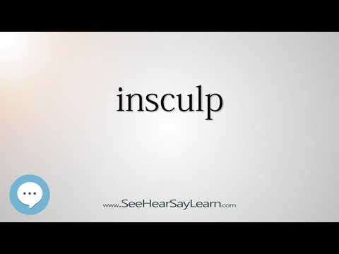 insculp - Smart & Obscure English Words Defined 👁️🔊🗣🧠✅