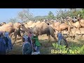 Mawlid Nabi Menzuma Sheikh Abdu Waata Xurusina Hadraa መንዙማ ሼይኽ አብዱ ዋታ ጡሩሲና ሀድራ ምርቃን 
