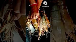 #Shorts How To Clean Lobster#youtubeshorts