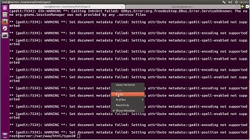How to install TYPO3  with Nginx LEMP on Ubuntu 16.04