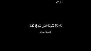 سورة النحل/ صلاح بو خاطر