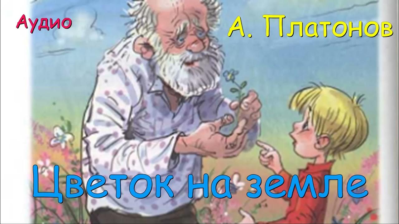 Кто написал рассказ цветок на земле. Цветок на земле Платонов. Цветок на земле а. Платон. Цветок на земле Платонов иллюстрации.