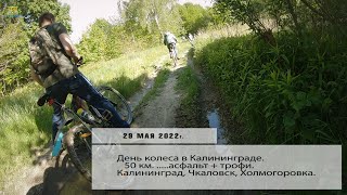 Велопробег на День колеса в Калининграде. (29.05.2022)