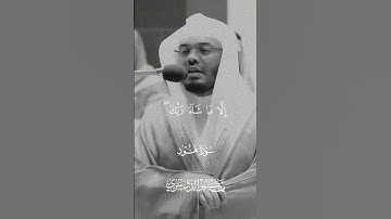 تلاوة جميلة للشيخ ياسر الدوسري #ياسرالدوسري #تلاوة_خاشعة #تلاوة_هادئة
