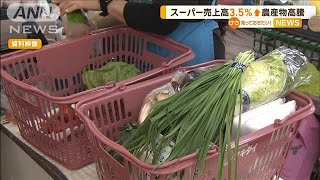 11月の全国スーパー売上高、3.5％増　節約志向続くも　農産品高騰で販売額伸びる【知っておきたい！】【グッド！モーニング】(2024年12月25日)
