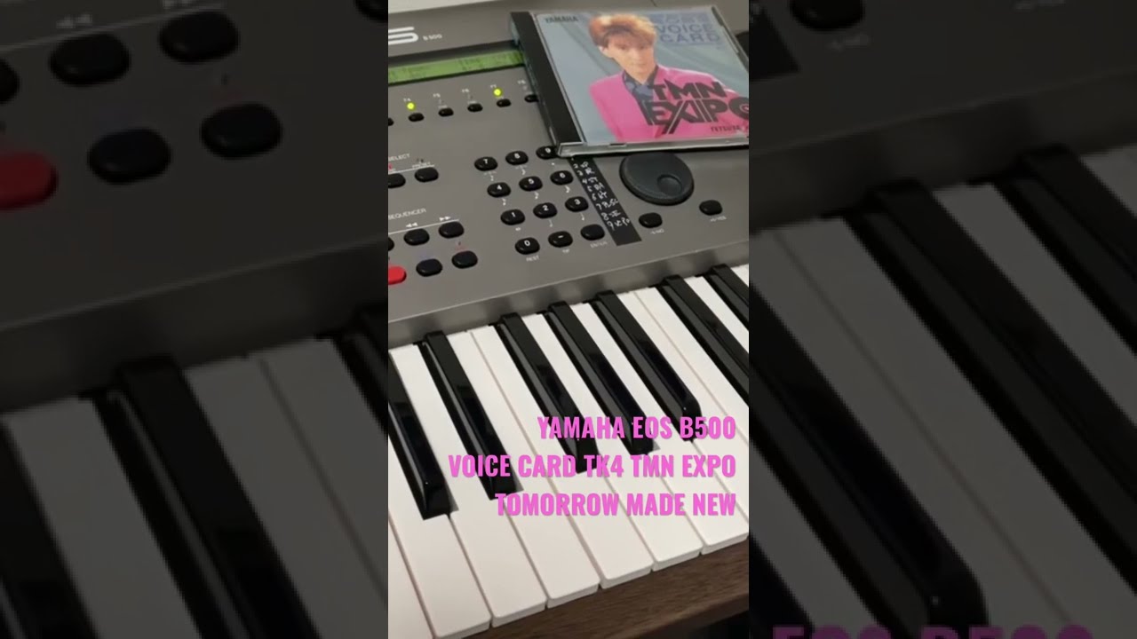 小室哲哉 ヤマハ EOS B500 ボイスカード TK5 RAVE&DANCE 送料無料】YAMAHA EOS B500 VOICE CARD TK5 TETSUYA KOMURO RAVE